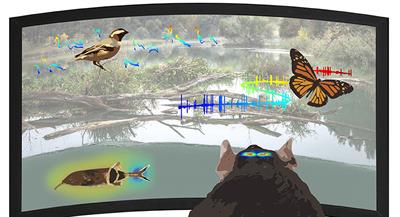 Editorial: Naturalistic neuroscience — Towards a full cycle from lab to field